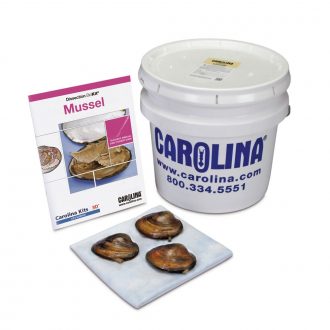 Mussel Dissection BioKit®