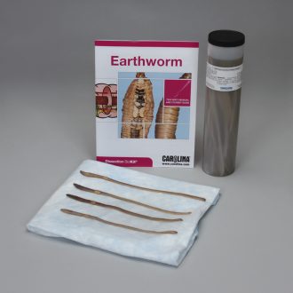 Earthworm Dissection BioKit®