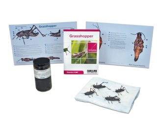 Grasshopper Dissection BioKit® with Dissection Mats