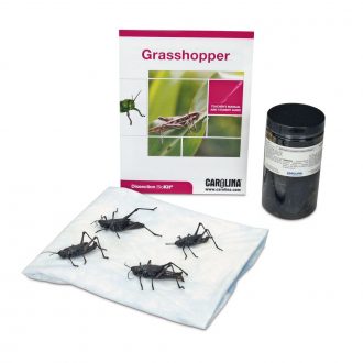 Grasshopper Dissection BioKit®