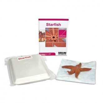 Starfish Dissection BioKit®