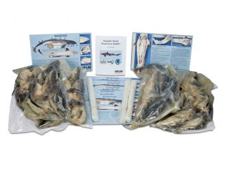 Shark Dissection BioKit® with Dissection Mats