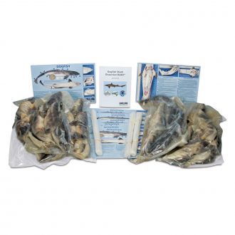 Shark Dissection BioKit® with Dissection Mats