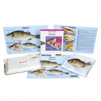 Perch Dissection BioKit® with Dissection Mats
