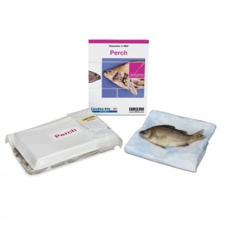 Perch Dissection BioKit®