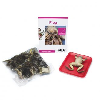Frog Dissection BioKit®