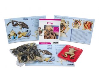 Frog Dissection BioKit® with Dissection Mats
