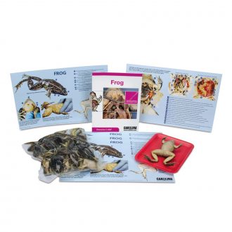 Frog Dissection BioKit® with Dissection Mats
