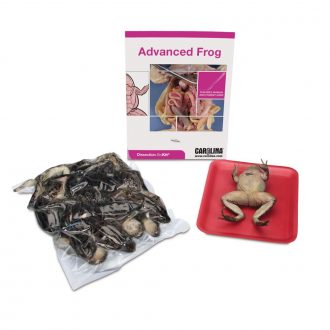 Advanced Frog Dissection BioKit®