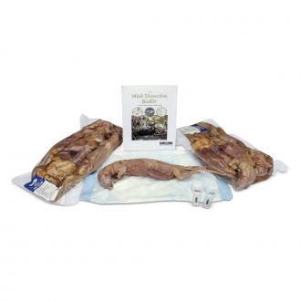 Mink Dissection BioKit®