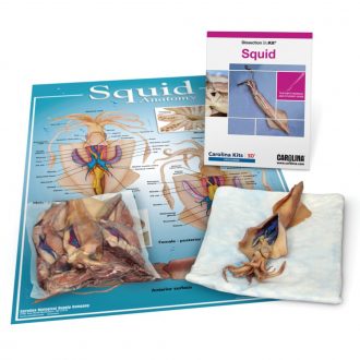 Squid Dissection BioKit®