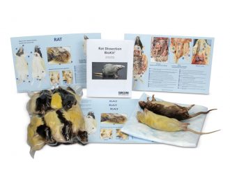 Rat Dissection BioKit® with Dissection Mats