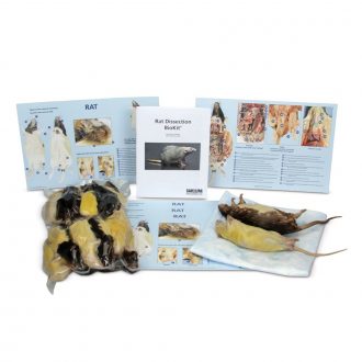 Rat Dissection BioKit® with Dissection Mats