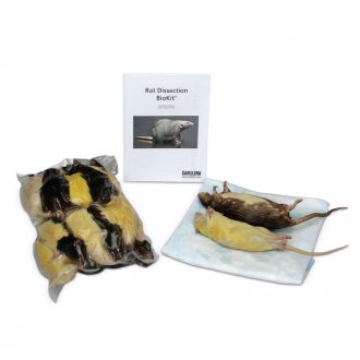 Rat Dissection BioKit®