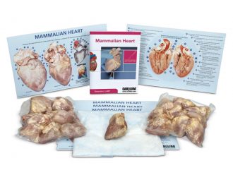 Mammalian Heart BioKit® with Dissection Mats