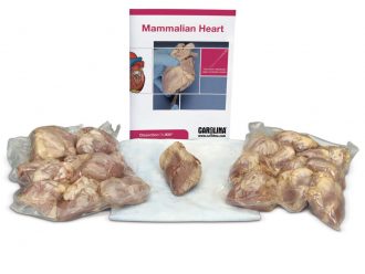 Mammalian Heart BioKit®