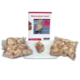 Mammalian Heart BioKit®
