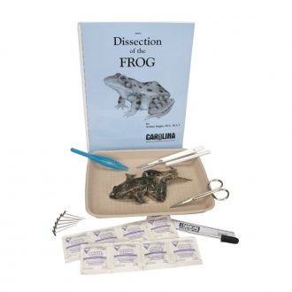 Frog Anatomy Kit with Dissecting Set