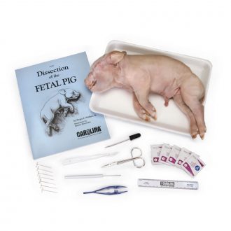 Fetal Pig Anatomy Kit with Dissecting Set