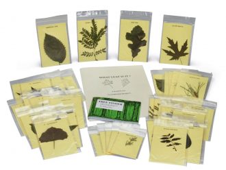 Leaf Identification Kit
