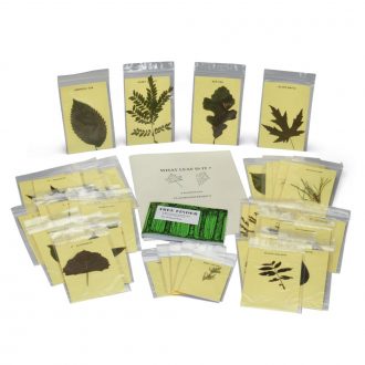 Leaf Identification Kit