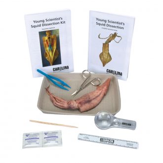 Carolina's Young Scientist™ Squid Dissection Kit