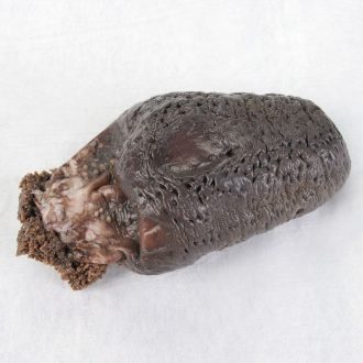 Preserved Northern Sea Cucumber (Cucumaria)