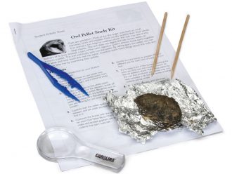Owl Pellet Dissection Mini-Kit