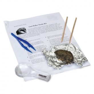 Owl Pellet Dissection Mini-Kit