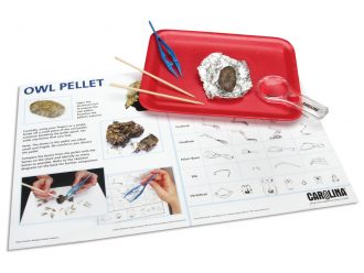 Owl Pellet Explorer Set