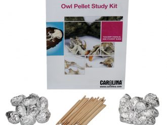 Owl Pellet Study Classroom Kit