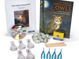 Owl Pellet Discoveries Kit