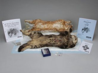 Mammalian Structure and Function Dissection Kit for AP® Biology