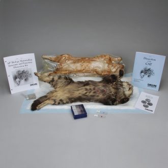 Mammalian Structure and Function Dissection Kit for AP® Biology