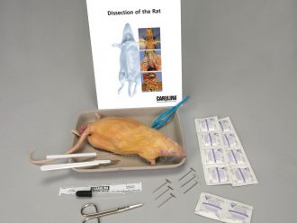 Rat Anatomy Kit with Dissecting Set