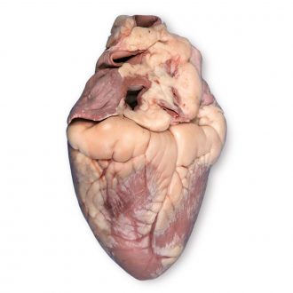 Carolina's Perfect Solution® Pig Heart, Plain, 1 Per Bag