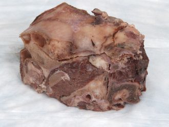 Preserved Sheep Brain in Cranial Case, Whole Brain, Plain, Pail