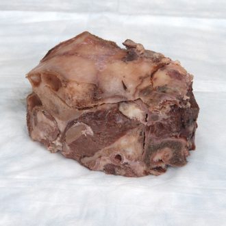 Preserved Sheep Brain in Cranial Case, Whole Brain, Plain, Pail