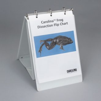 Carolina® Frog Dissection Flip Chart
