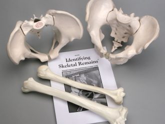 Identifying Skeletal Remains Kit