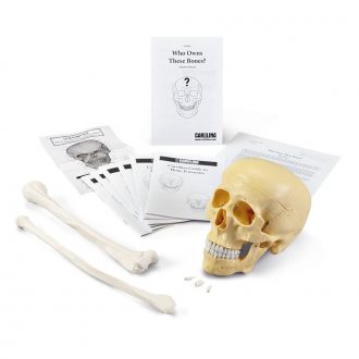 Who Owns These Bones? Kit