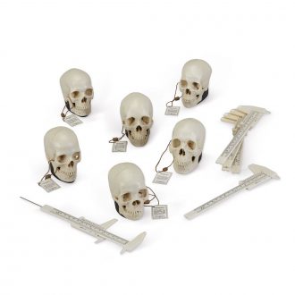 Forensic Geographic Ancestry Human Skulls Set