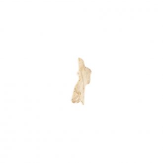Somso® Loose Human Skull Bone, Vomer