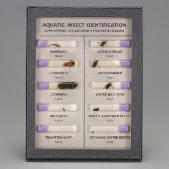 Aquatic Insects, Biorama™ Preparation