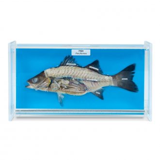Fish Biosmount™