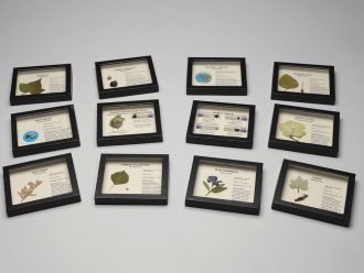 Invasive Species Survey Set, Biorama™ Preparation