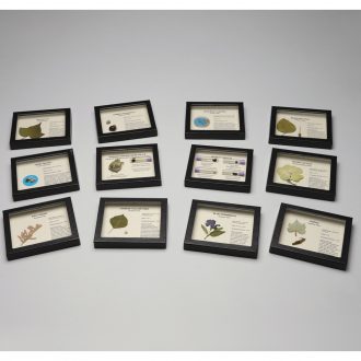 Invasive Species Survey Set, Biorama™ Preparation