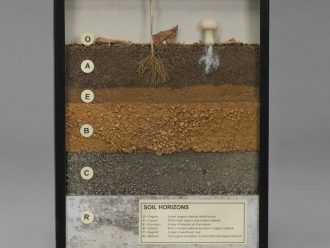 Soil Horizons, Biorama™ Preparation