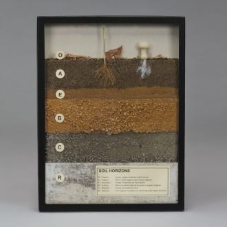 Soil Horizons, Biorama™ Preparation