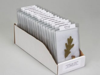 Leaves and Seeds Survey Set, Biorama™ Preparation